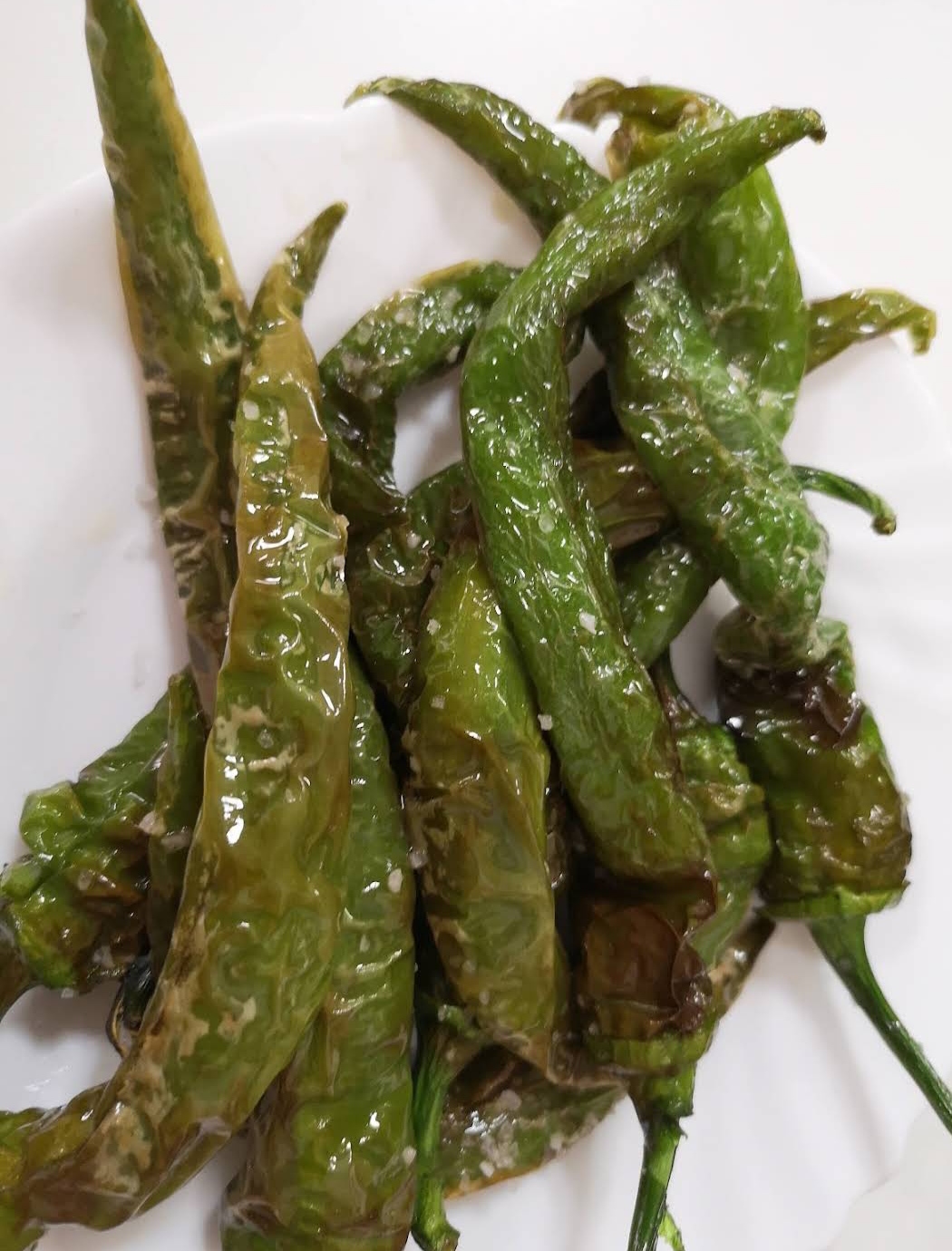 Pimientos fritos