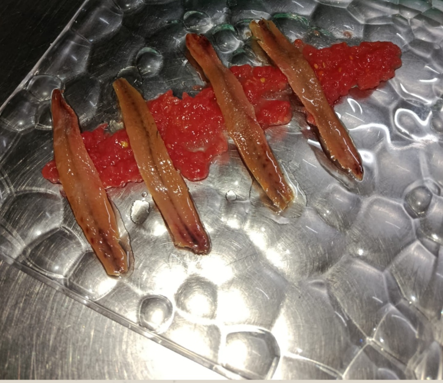 Anchoa 0.0