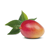 Té Verde con Mango