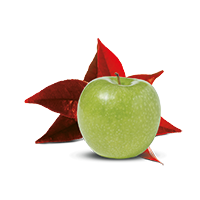 Té Rojo con Manzana y Caramelo