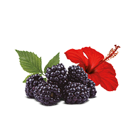 Frutas del Bosque