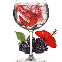 Gin & Tonic con Infusión de Frutos del Bosque