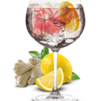 Gin & Tonic con Infusión de Limón y Jengibre