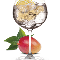 Gin & Tonic con Té Verde Mango