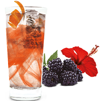 Ron con Infusión de Frutos del Bosque