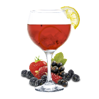 Gin Frutos del Bosque