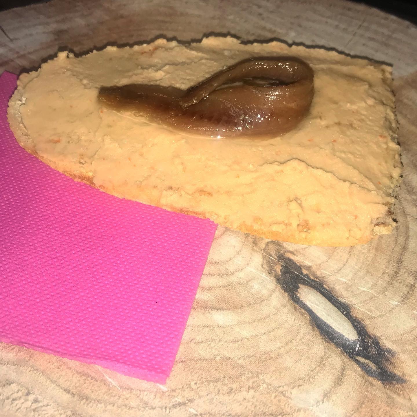 Anchoa
